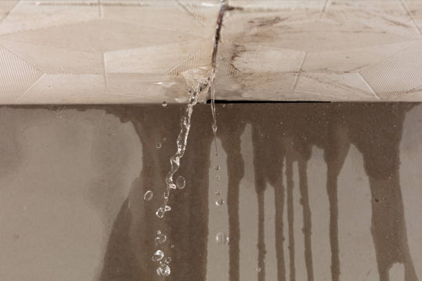 Professional Flood Damage Cleanup technician working in Superior, WI